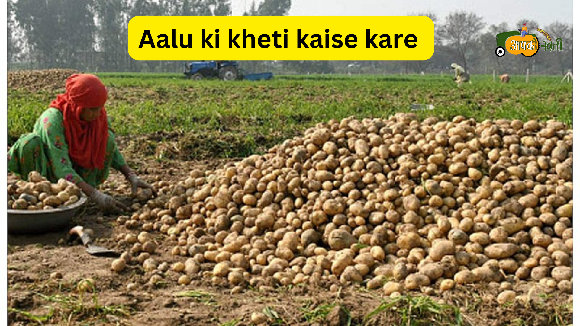 Aalu ki kheti aapkikheti.com