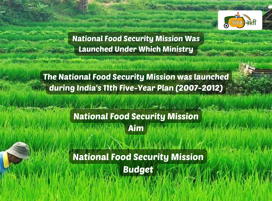 National Food Security Mission