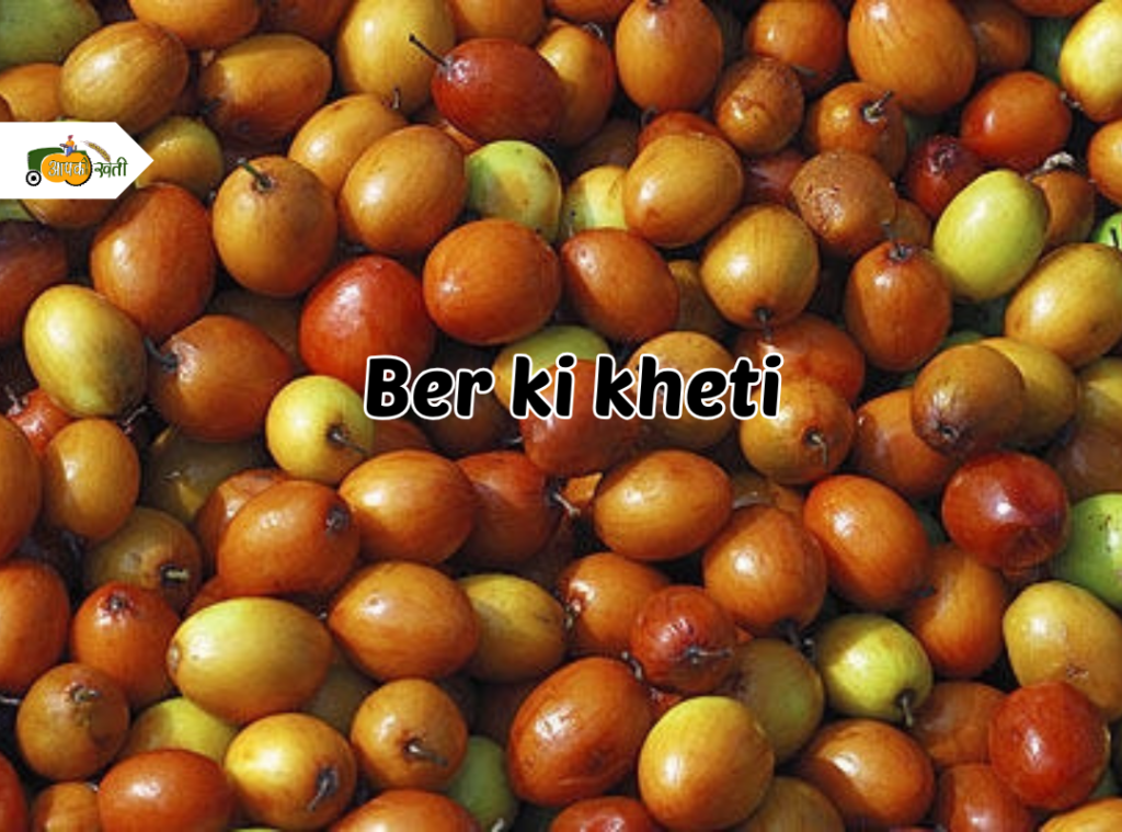 Ber Ki Kheti