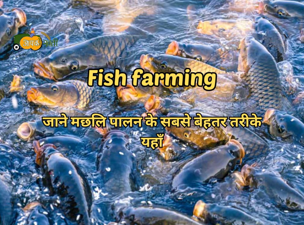 Fish farming