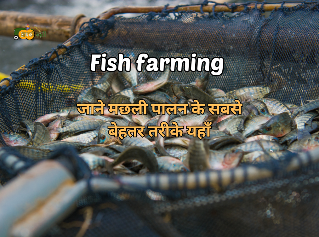 Fish farming