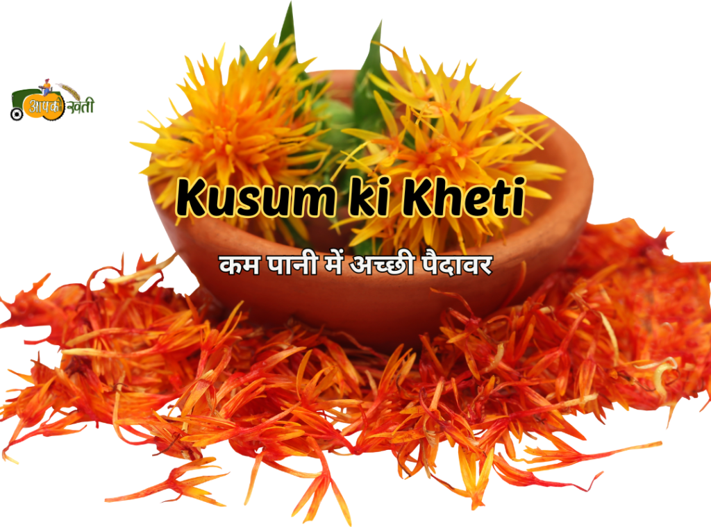 Kusum ki Kheti