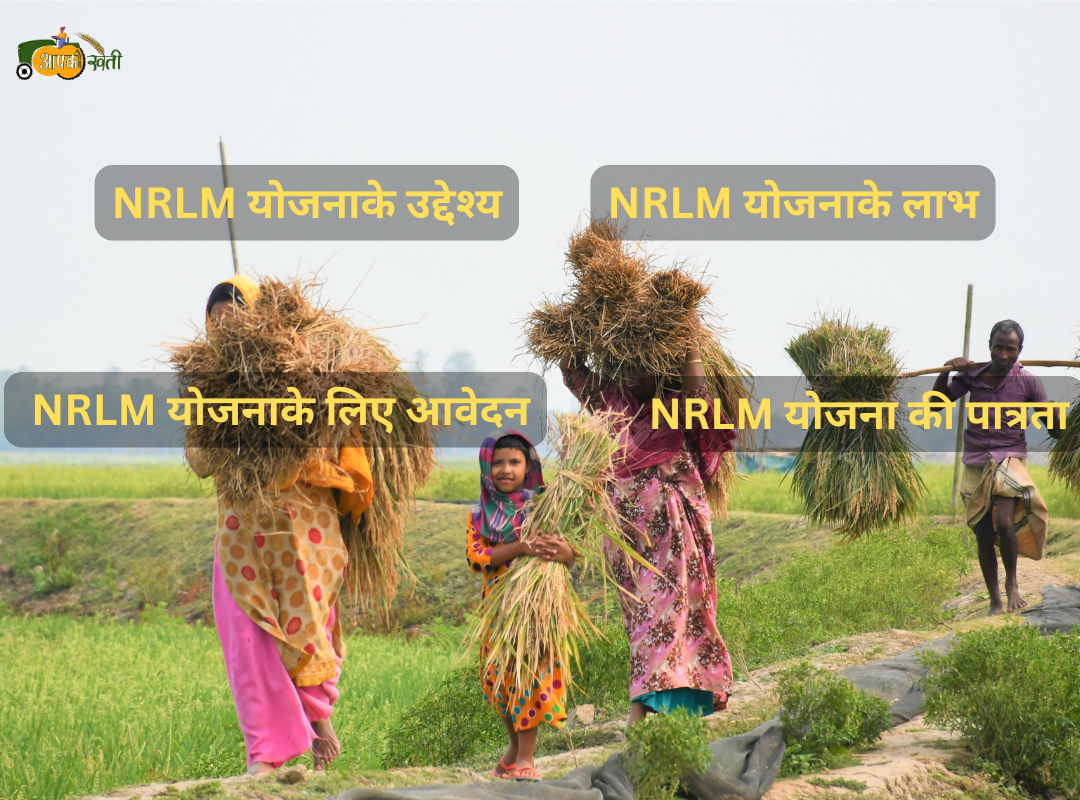 National Rural Livelihood Mission 