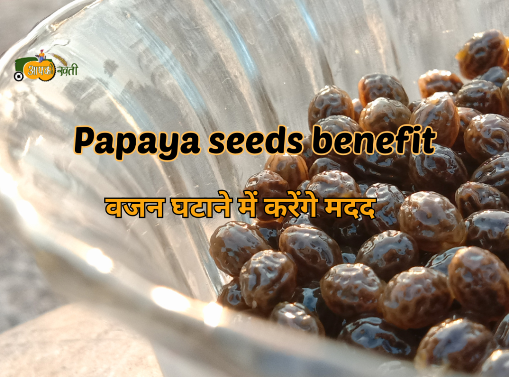 Papaya seeds benefit