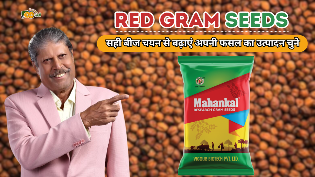 Red Gram Seeds Aapkikheti.com