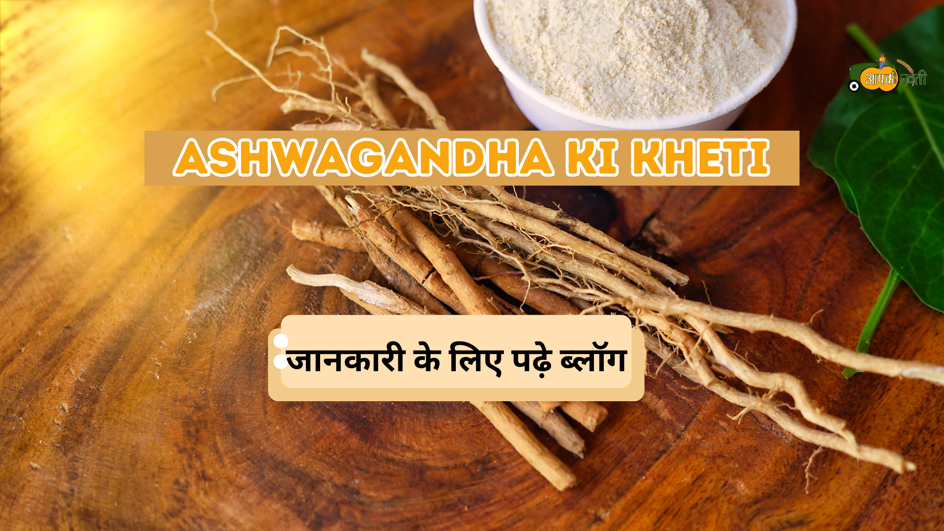 Ashwagandha ki kheti Aapkikheti.com