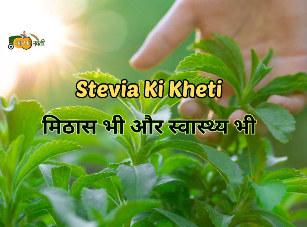 Stevia Ki Kheti