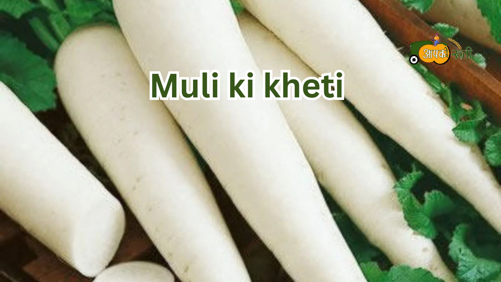 Muli ki kheti