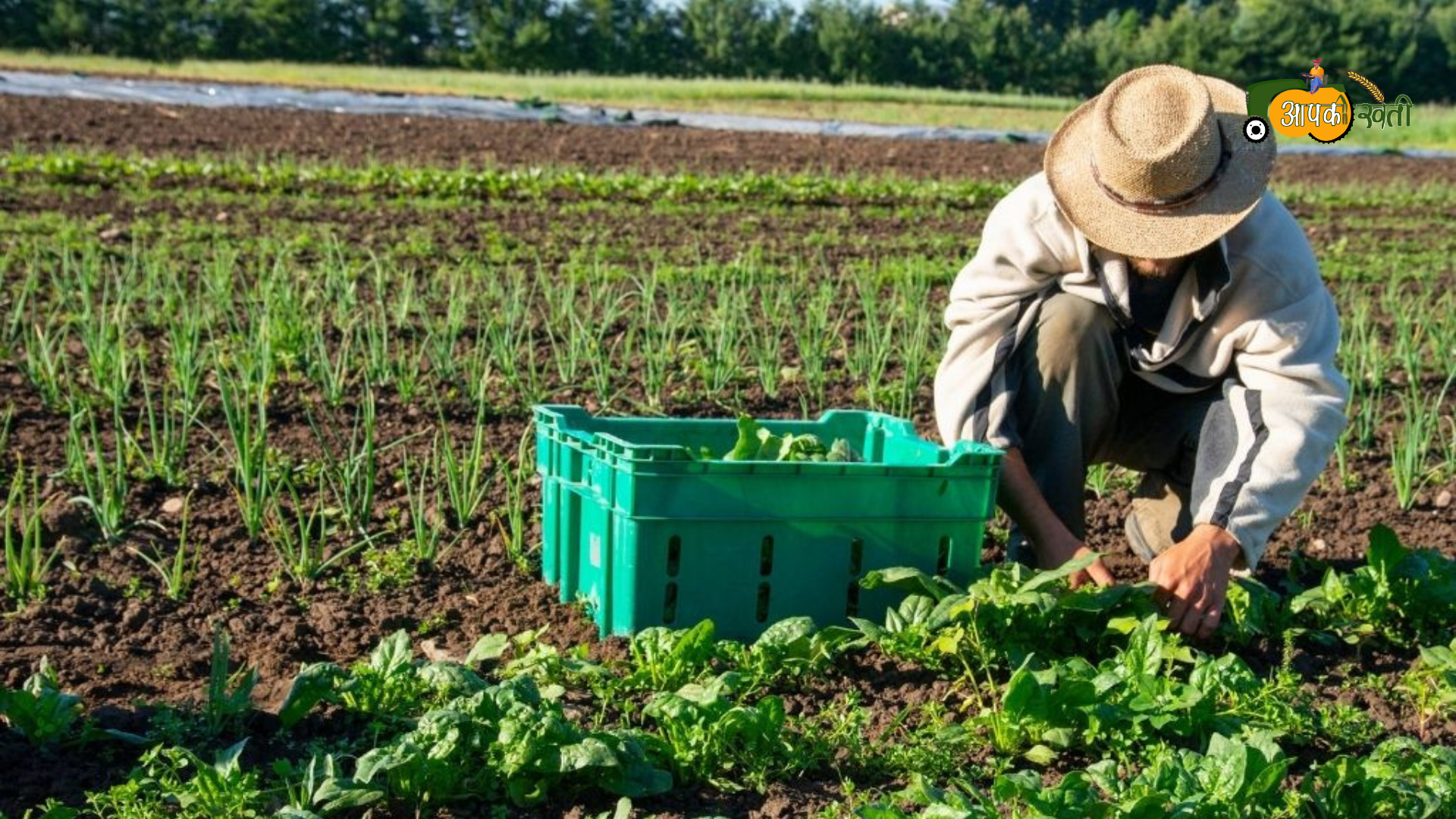 Organic farming Aapkikheti.com