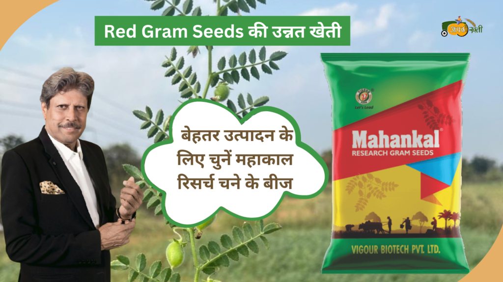 Red Gram Seeds Aapkikheti.com