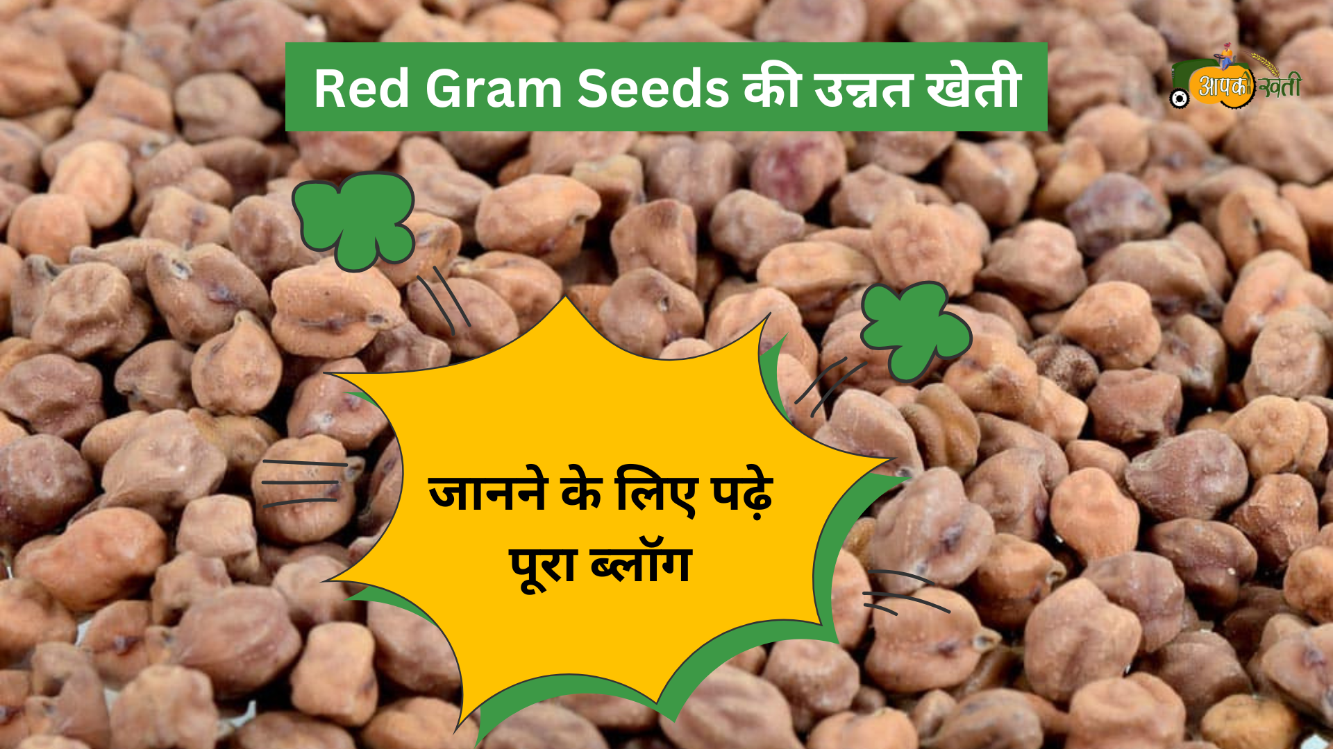 Red Gram Seeds Aapkikheti.com