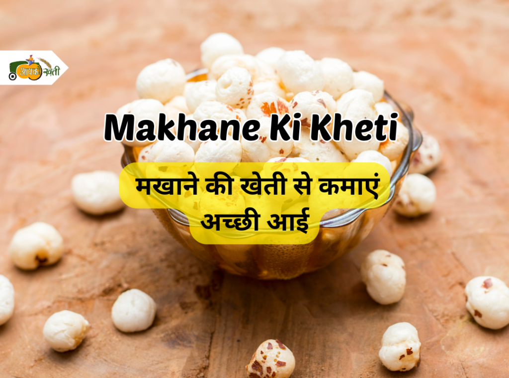 Makhane Ki Kheti