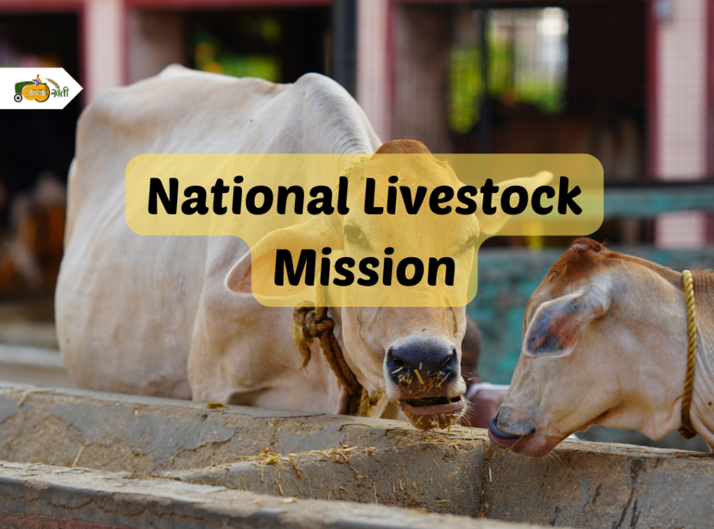 National Livestock Mission