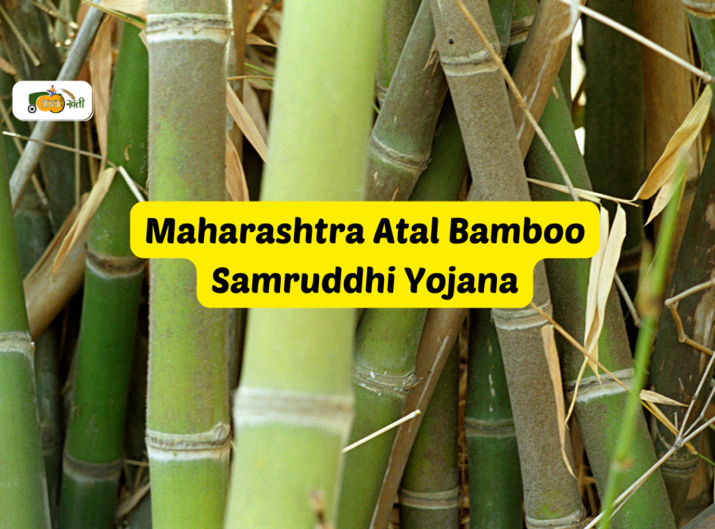 Maharashtra Atal Bamboo Samruddhi Yojana