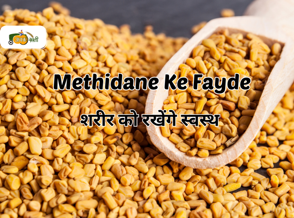 Methidane Ke Fayde