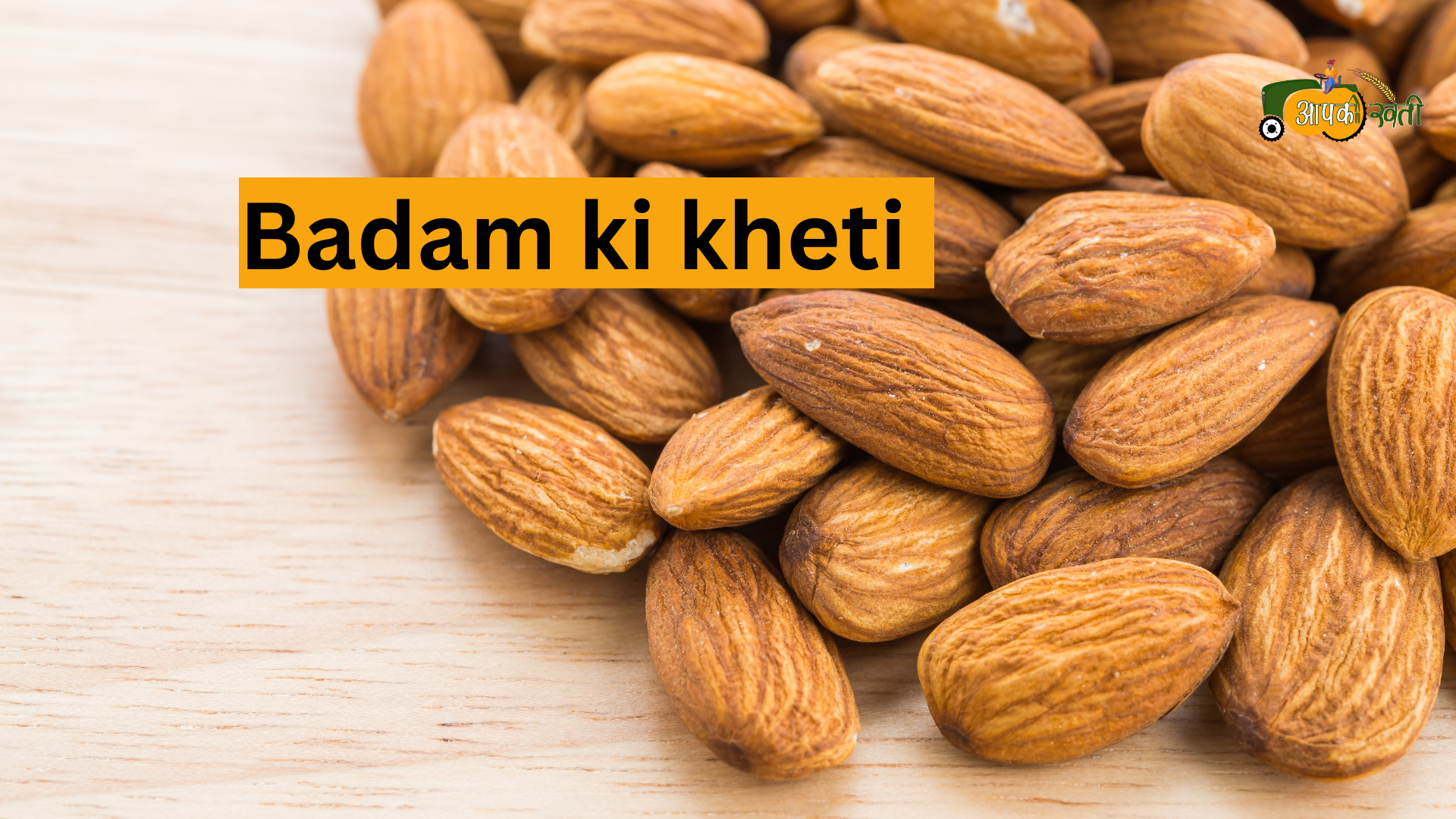 Badam ki kheti Aapkikheti.com