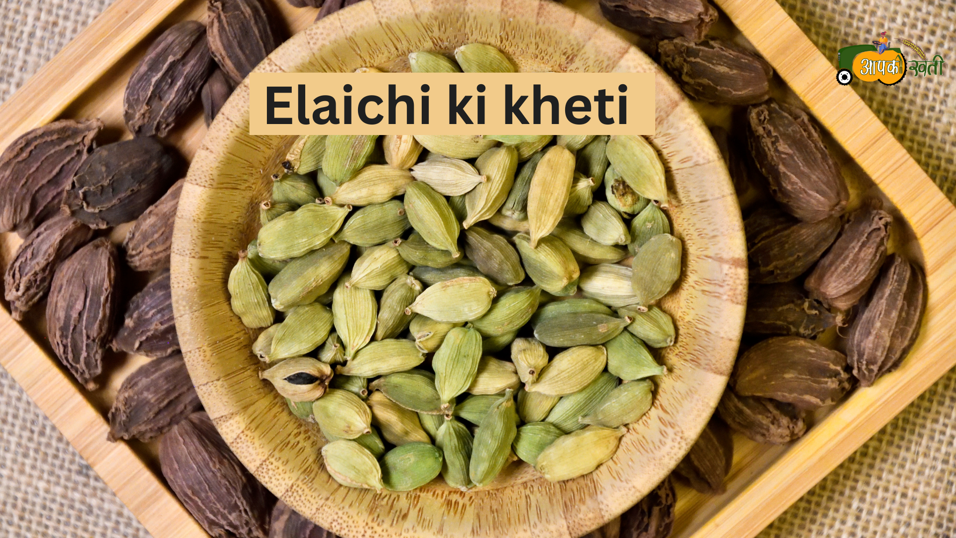 Elaichi ki kheti -Aapkikheti.com