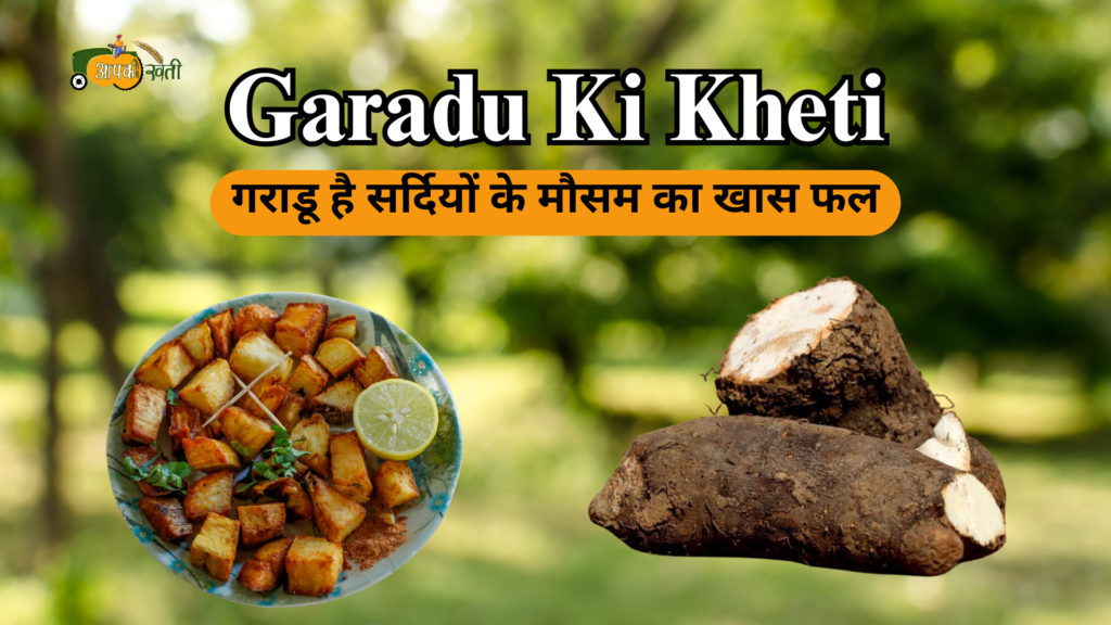 Garadu ki kheti