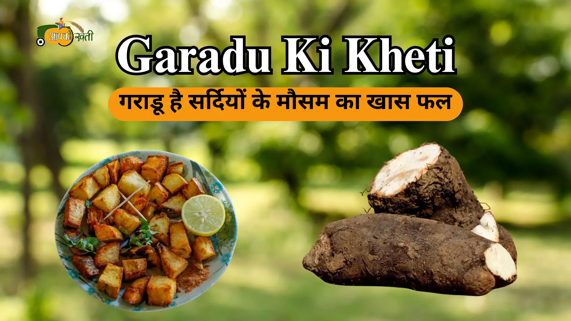 Garadu ki kheti 2025-Aapkikheti.com