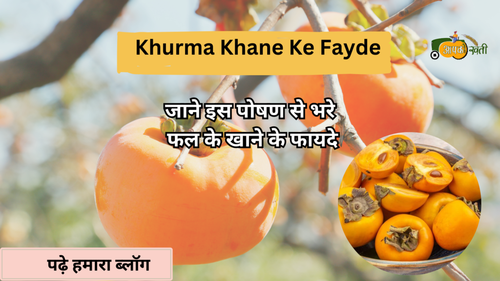 Khurma Khane ke faayde -Aapkikheti.com