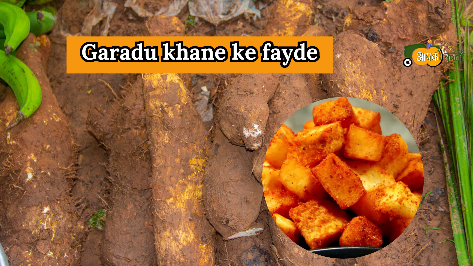 Garadu ki kheti-aapkikheti.com