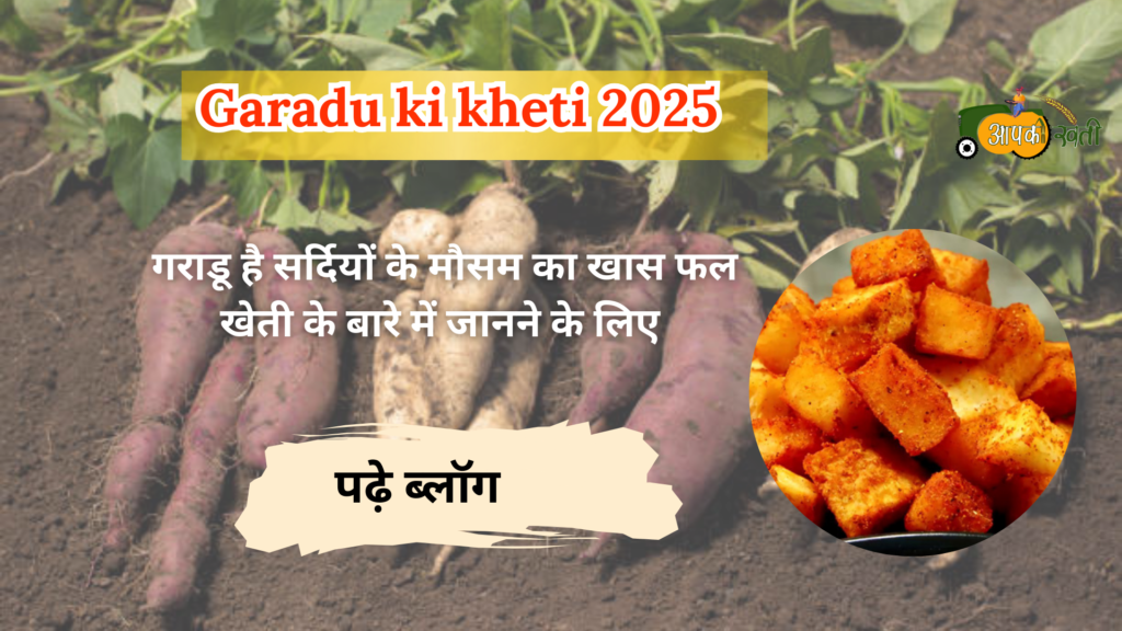 Garadu ki kheti 2025-Aapkikheti.com