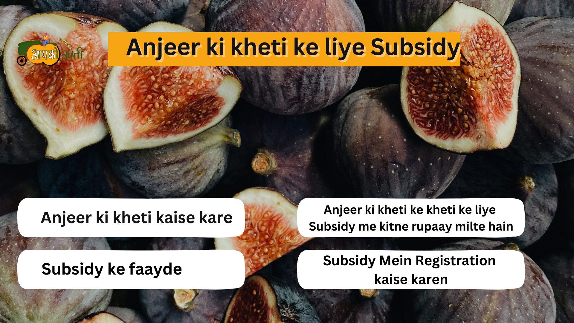 Anjeer ki kheti ke liye subsidy-Aapkikheti.com