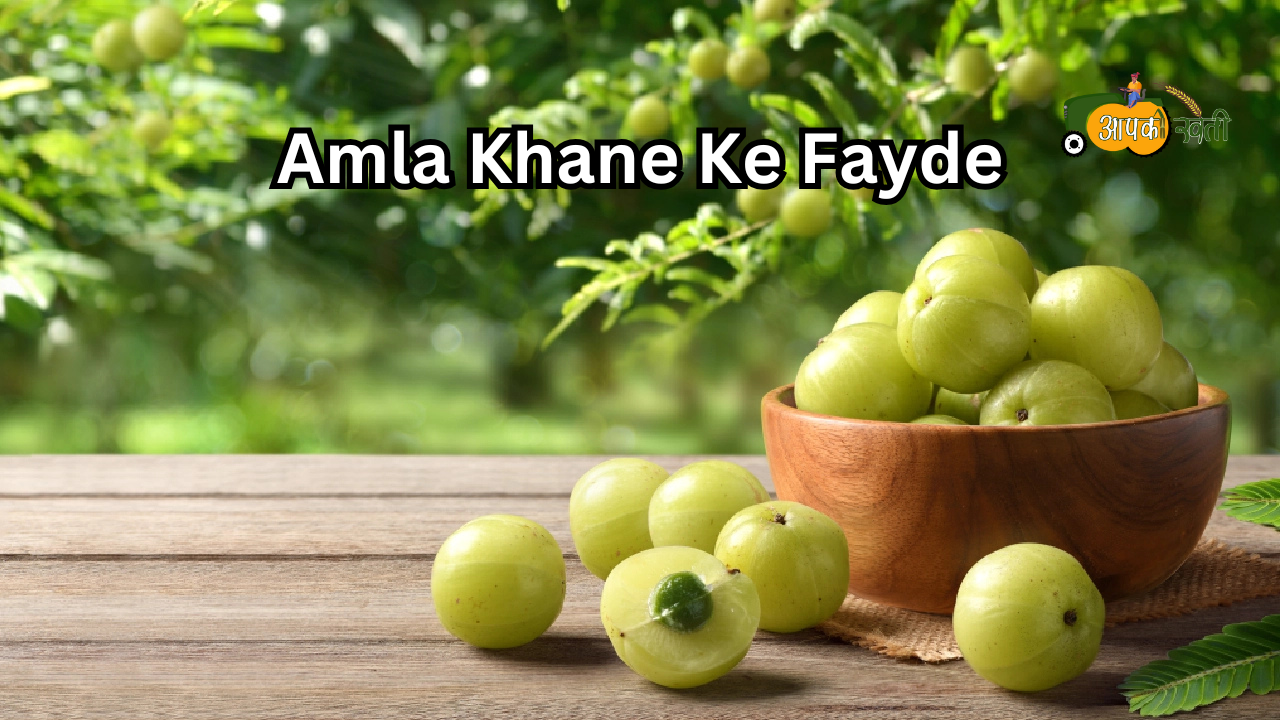 Amla Khane ke faayde -Aapkikheti.com