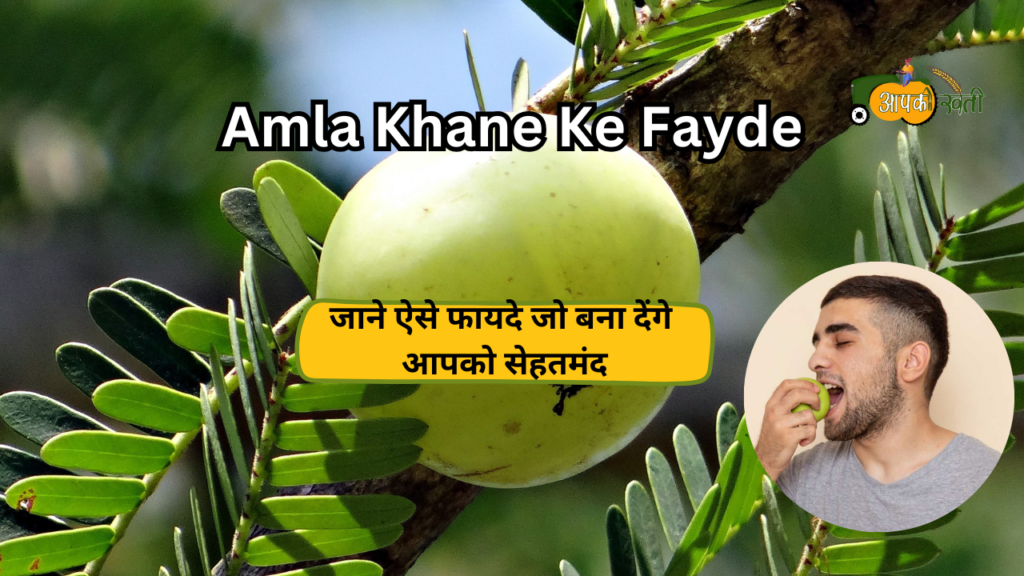 Amla Khane ke faayde -Aapkikheti.com