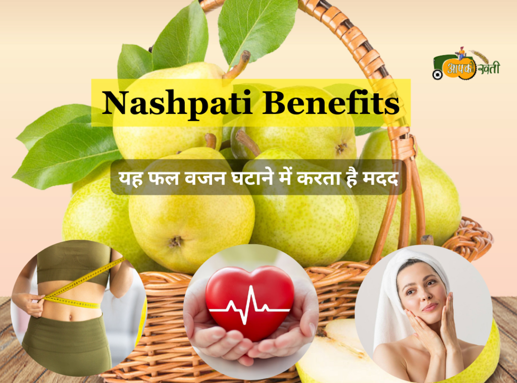 Nashpati Benefits