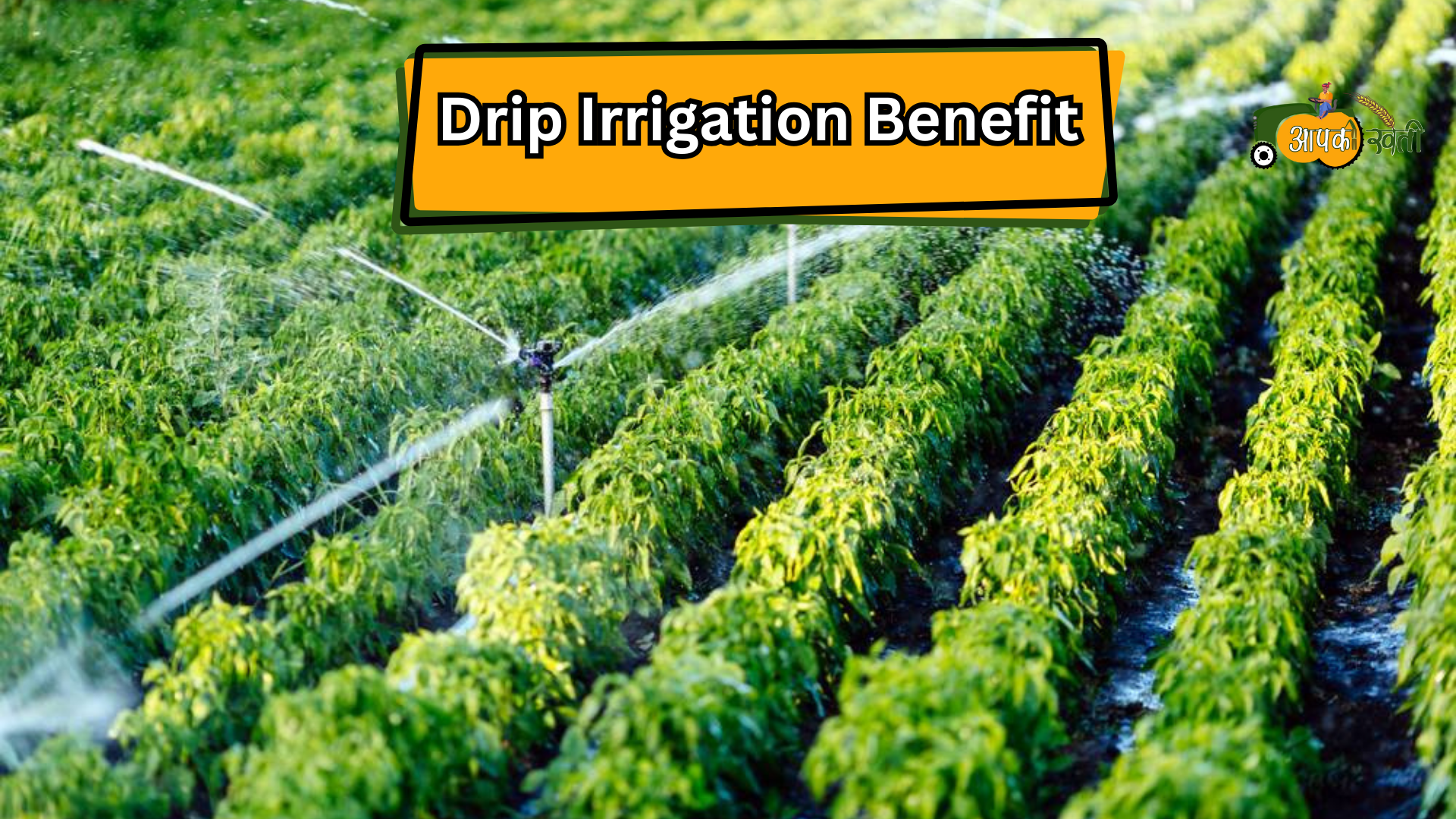 Drip Irrigation Benefit-Aapkikheti.com