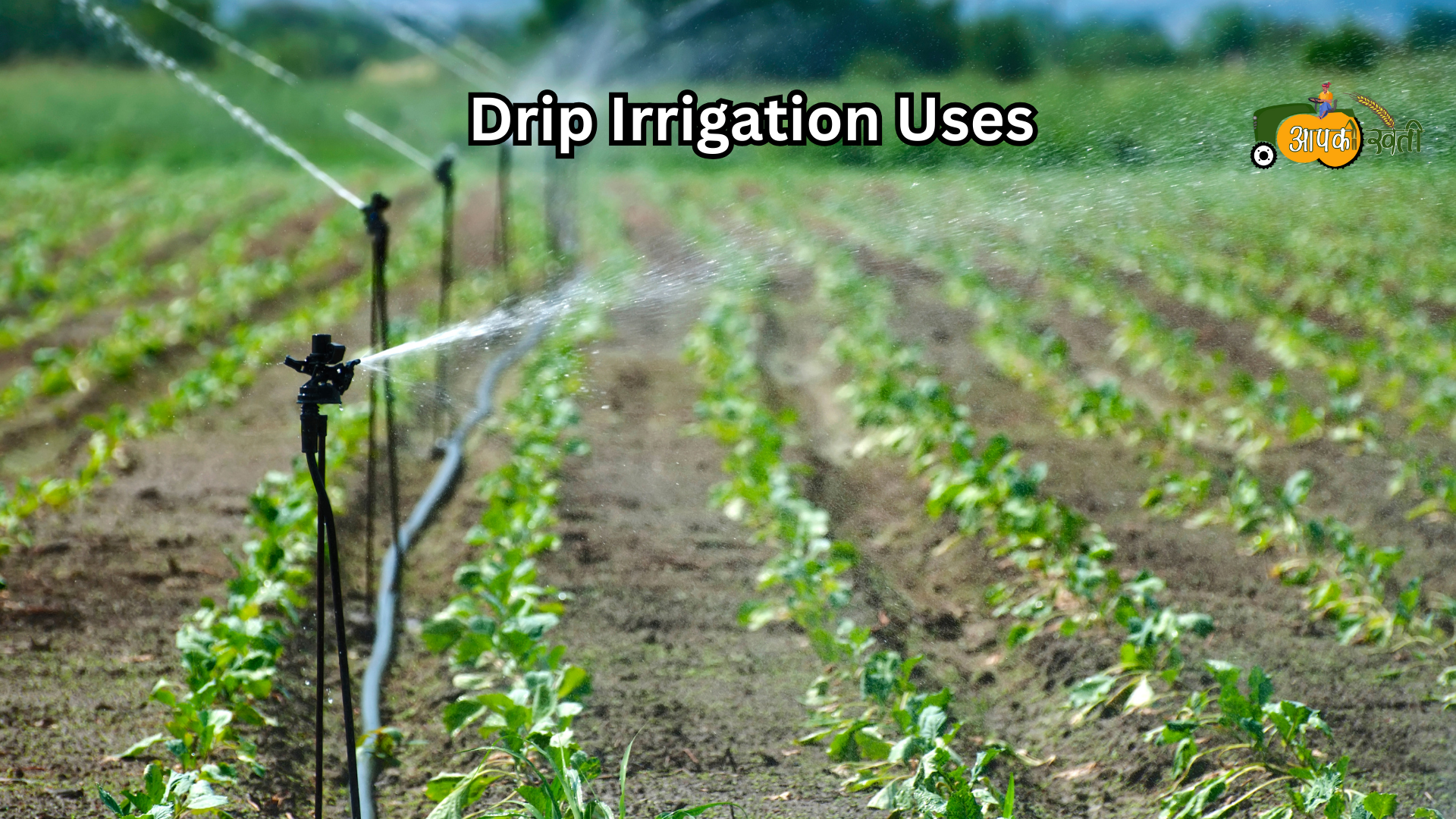 Drip Irrigation Benefit-Aapkikheti.com