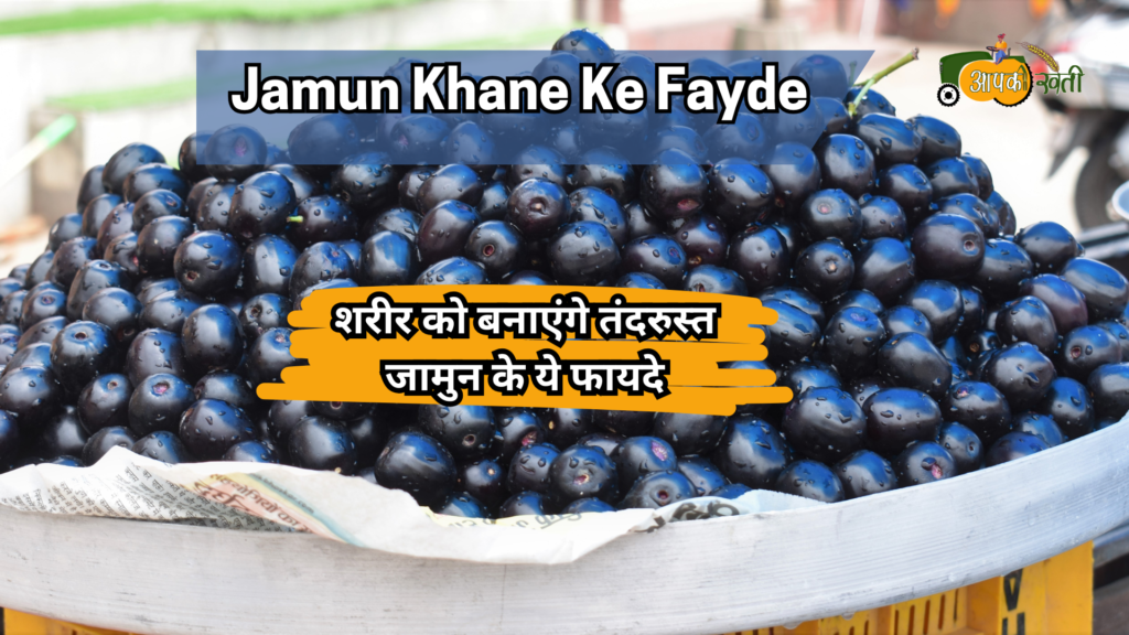 Jamun Khane ke fayde -Aapkikheti.com