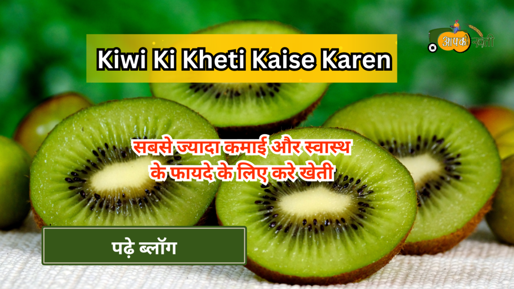 Kiwi ki kheti kaise karen -Aapkikheti.com