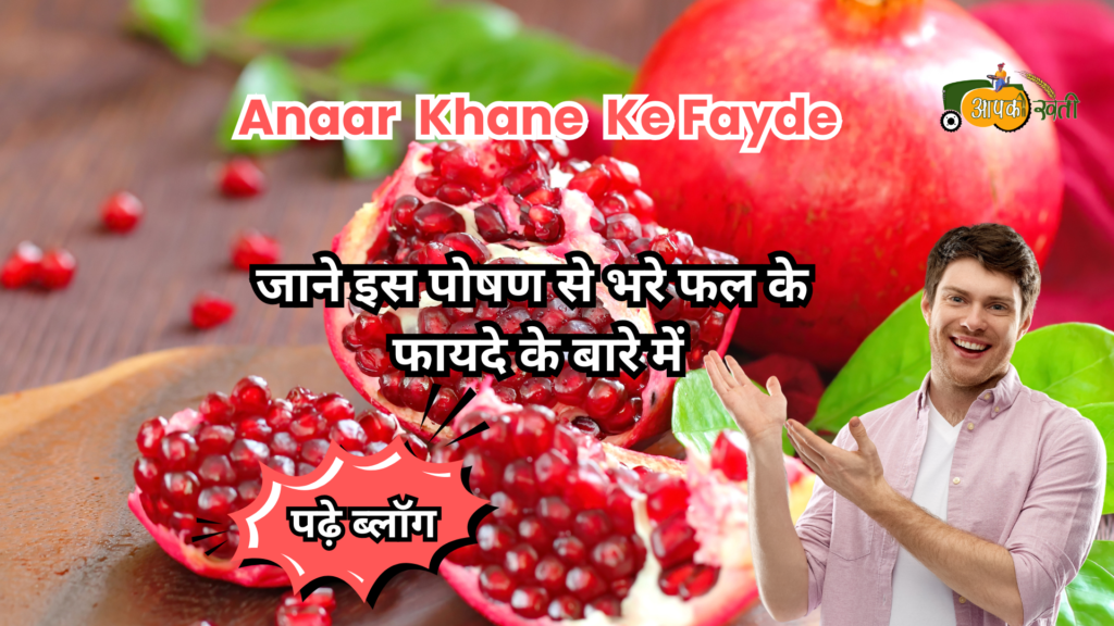 Anaar Khane Ke Fayde-Aapkikheti.com