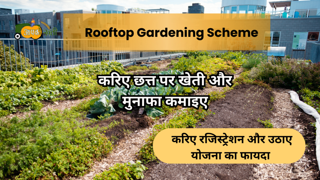 Rooftop Gardening Scheme- Aapkikheti.com