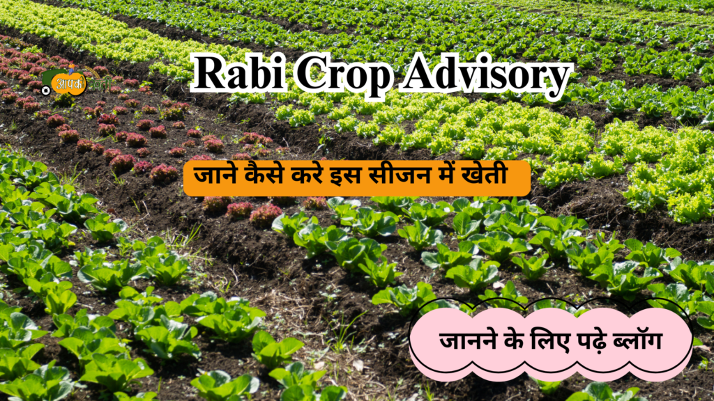 Rabi Crop Advisory-Aapkikheti.com