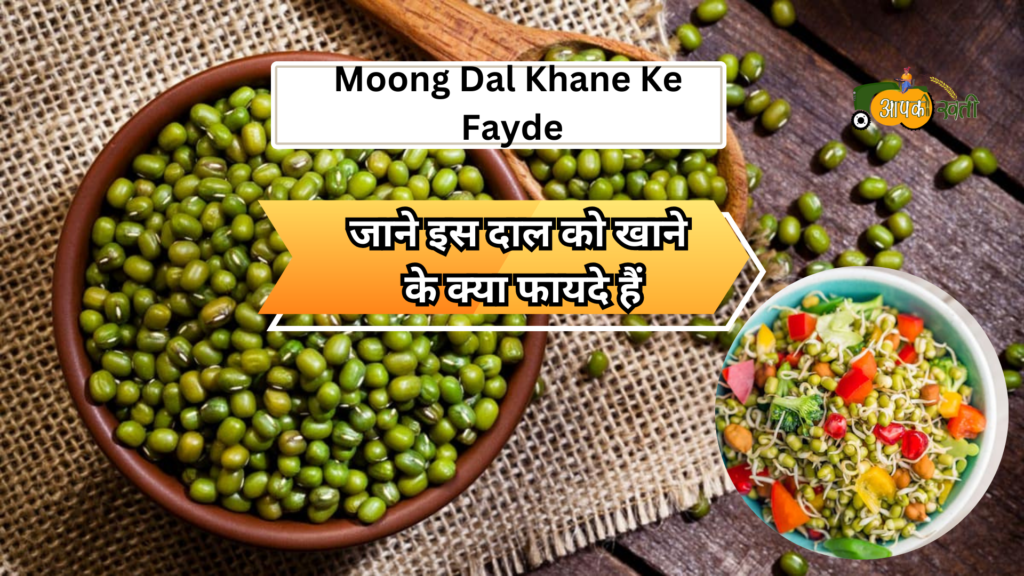 Moong Dal Khane ke fayde-Aapkikheti.com