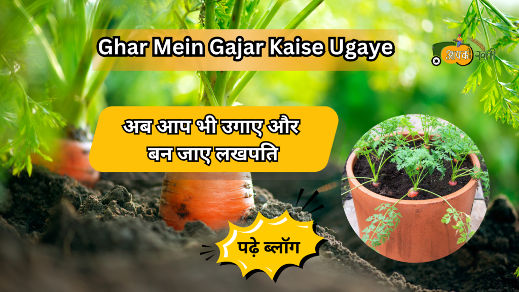 Ghar Mein Gajar Kaise Ugaye-Aapkikheti.com