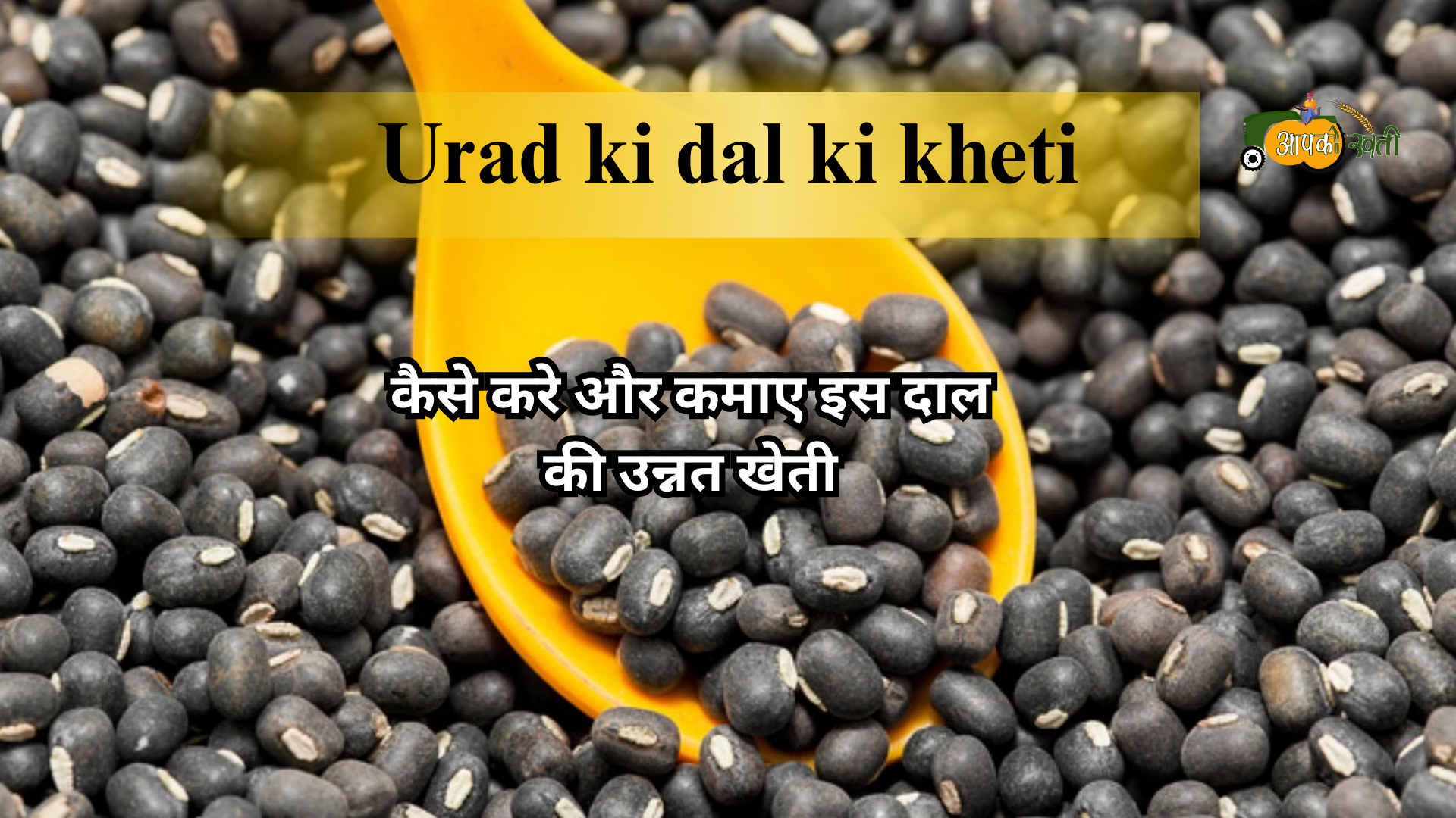 Urad Dal ki kheti-Aapkikheti.com