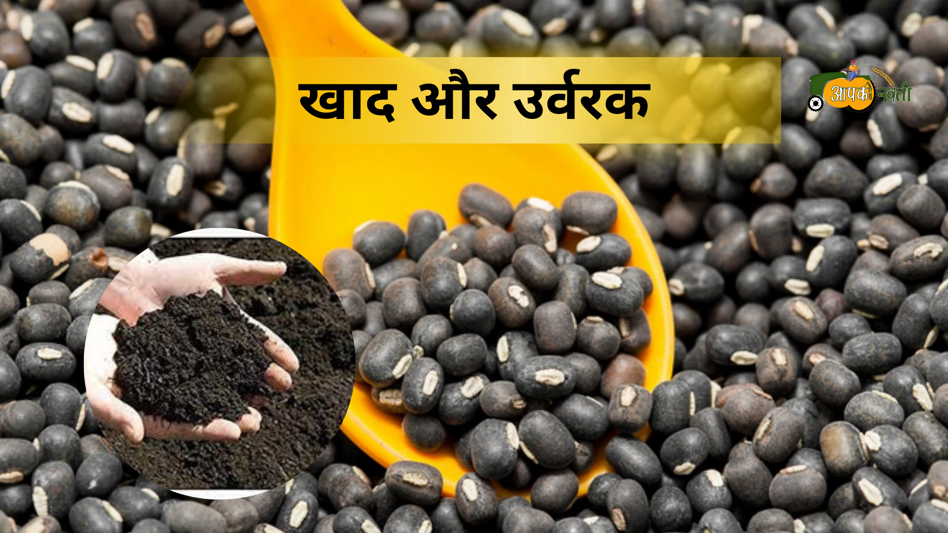 Urad Dal ki kheti-Aapkikheti.com