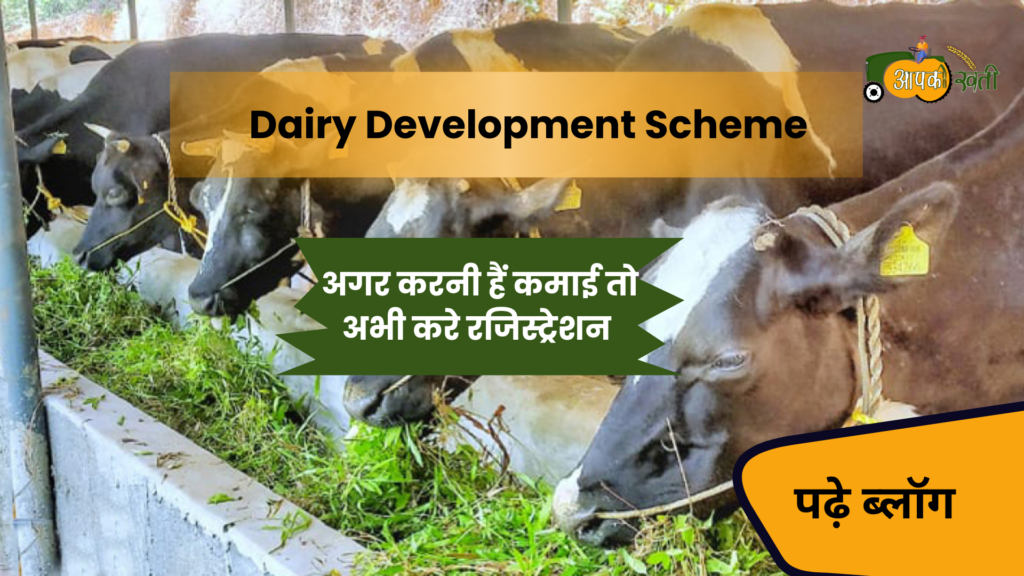 Dairy Development Scheme -aapkikheti.com