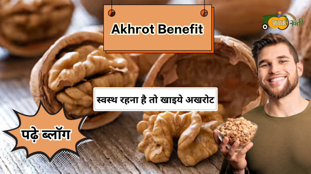 Akhrot Benefits-Aapkikheti.com