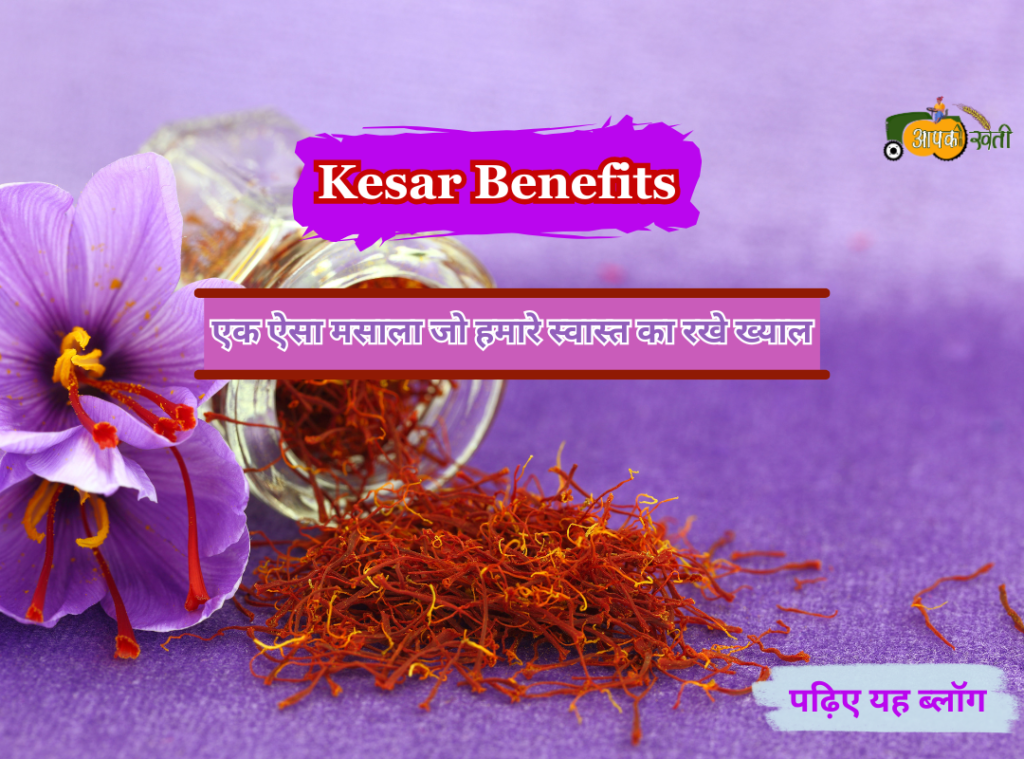 Kesar Benefits