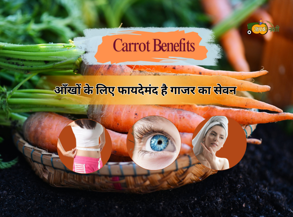 Carrot Benefits