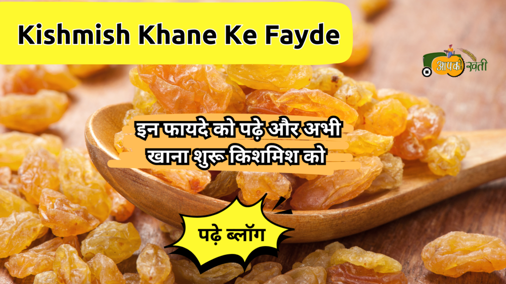 Kishmish Khane Ke Fayde-Aapkikheti.com