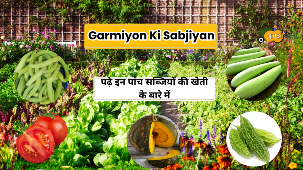 Garmiyon Ki Sabjiyan-Aapkikheti.com