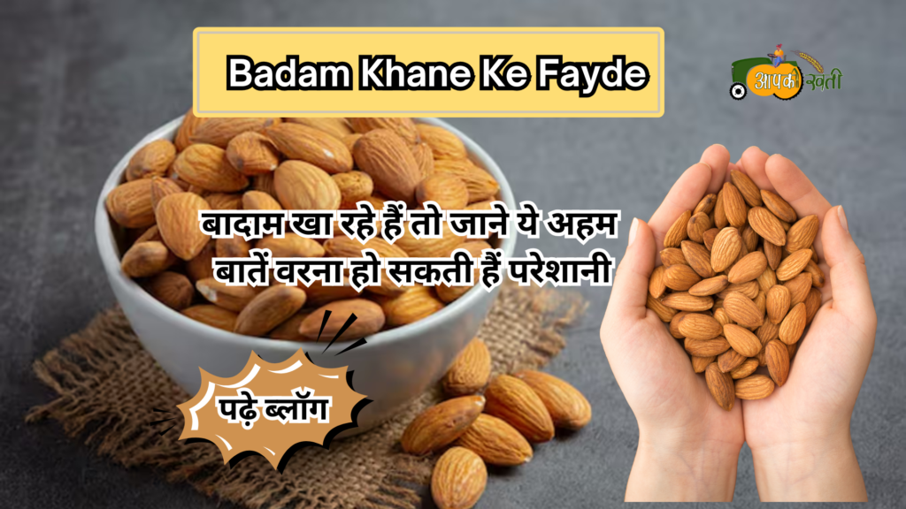 Badam Khane Ke Fayde-Aapkikheti.com