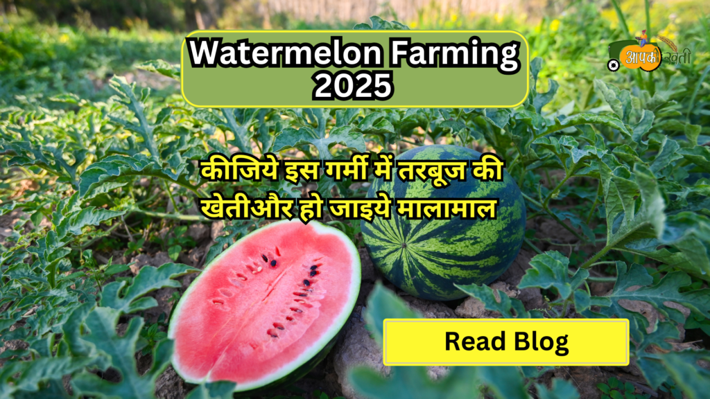 Watermelon Farming 2025-Aapkikheti.com