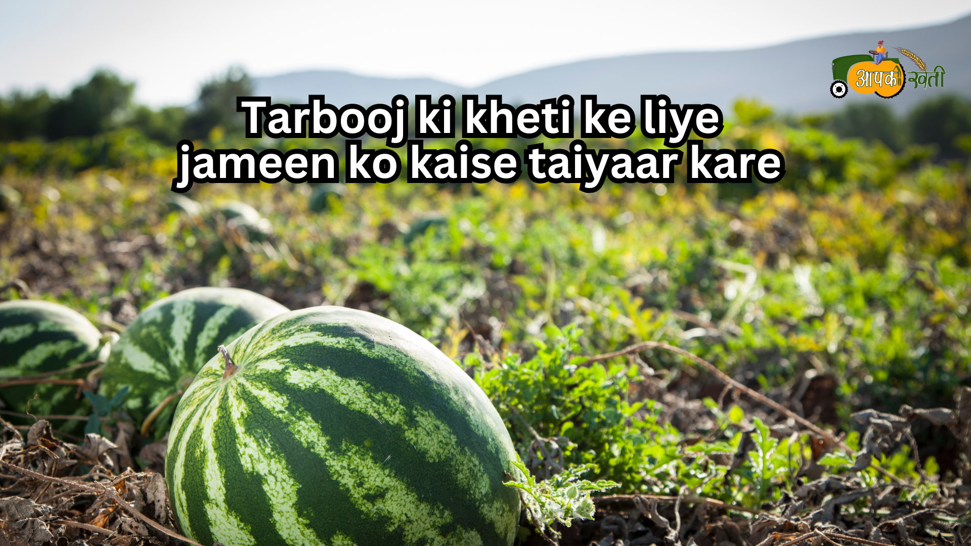 Watermelon Farming 2025-Aapkikheti.com